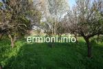 GL 0172 - Plot of land - Wista - Ermioni